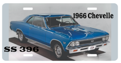 Model year antique license plates